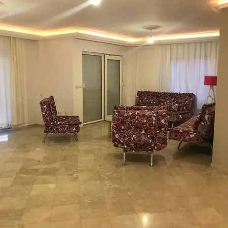Vila Alona Kargicak